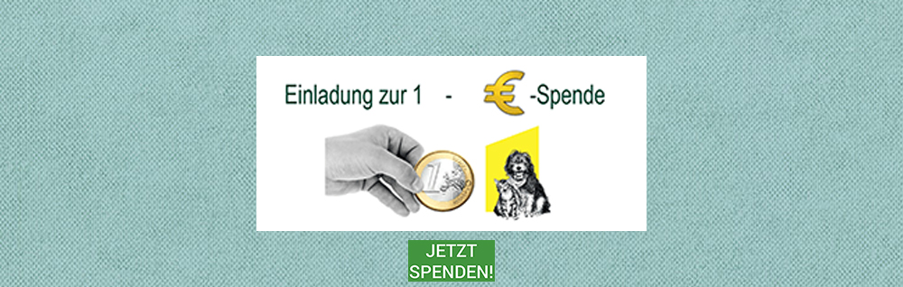 Banner 1 Euro Spende2021