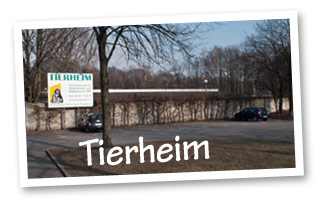 tierheim 310x200